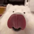 lick
