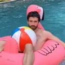AJRJackFlamingo