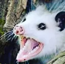AAAAAAAA AAAAAAAA