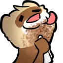 ferretsoupies ferretsoupies