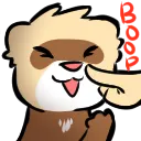 ferretboop