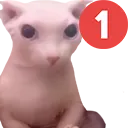 pingus