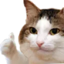 thumbsup