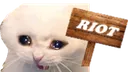 sadriot
