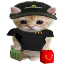 cccatwork
