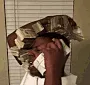 Money Money