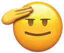 Salute Salute