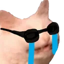 coolcrycat