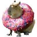 Donutbara