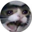 sobcat