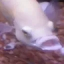 bigsucky2 bigsucky2