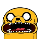 Gasp