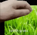 touchgrass