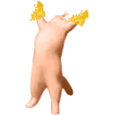 Catvile