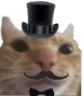 PoshStare