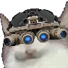 nvgcatte