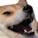 doglul