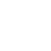 gunslinger