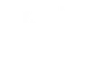 paladin paladin