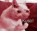 kus