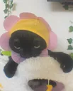 flowerjinxxxx