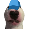 wuf_cap