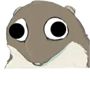 hamflushed