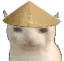 E_gatojapones