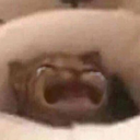 gatosupersad_FDB Discord emoji