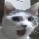 CIcatpog CIcatpog