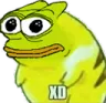 xdpepe