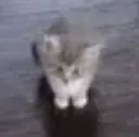 anguish