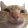 catsmile