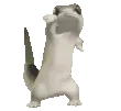 lizardPls