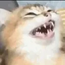 catckle