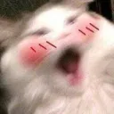 animescream