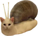 snailcat Discord Emoji