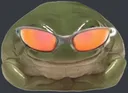 cooltoad