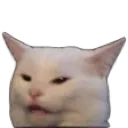confusedcat