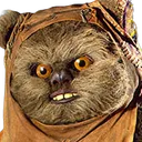 ewok_stare