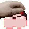 pet_lu