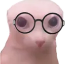 9360bingusnerd