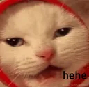 hehe hehe