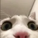 mariisawhore2 mariisawhore2