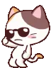 okCoolCat okCoolCat
