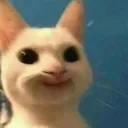 cat_smiling