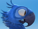 concerned_startled_scared_Blu Discord emoji
