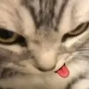 smexy