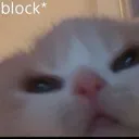 blocked blocked