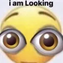 looking